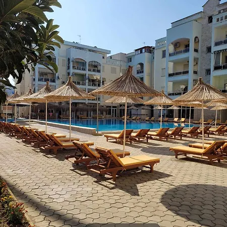 Papillon D'albanie Golem (Tirana)