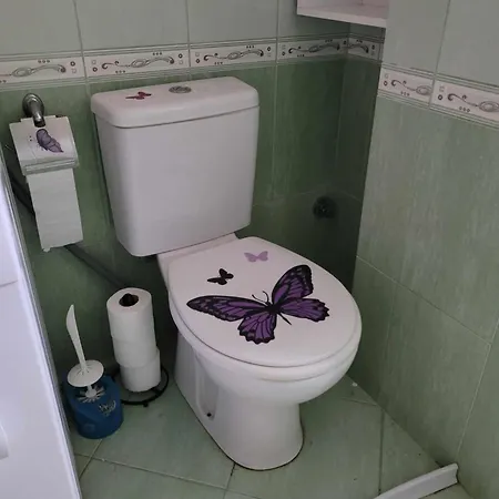 Apartment Papillon D'albanie *
